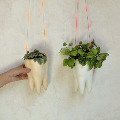 Molar maceta colgante de cerámica con forma de muela.