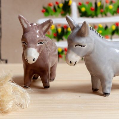Burro gris