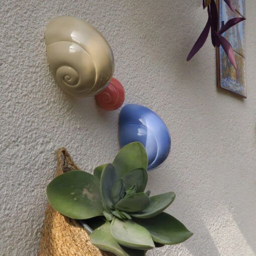 Caracoles trepadores
