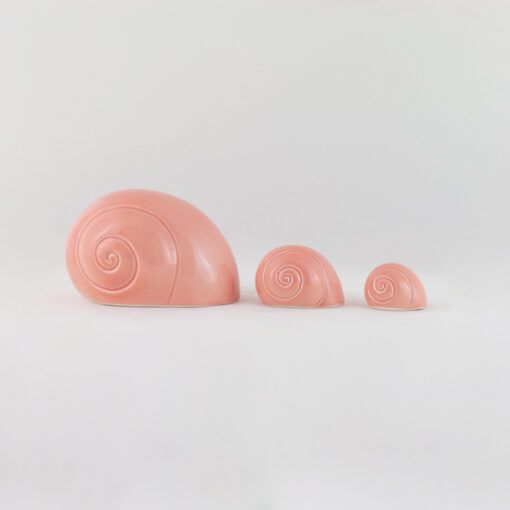 Familia caracoles coral