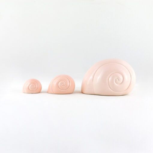 Familia caracoles ñoño