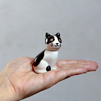 Gato Micifú