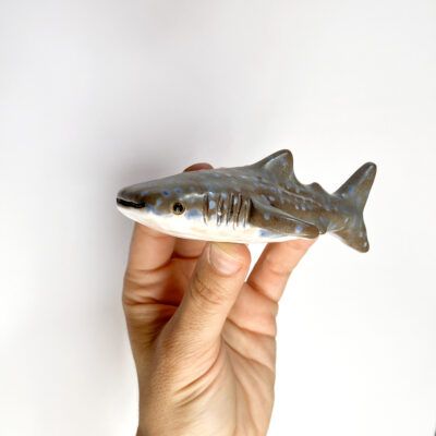 Tiburón ballena