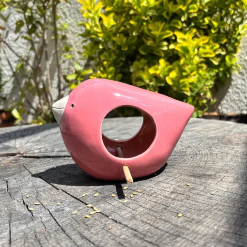 El pájaro comedero rosa