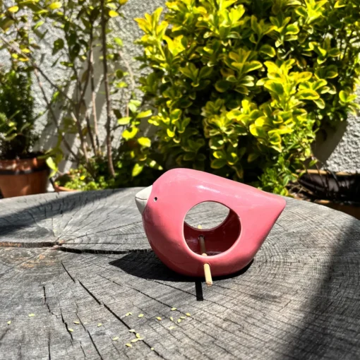 El pájaro comedero rosa