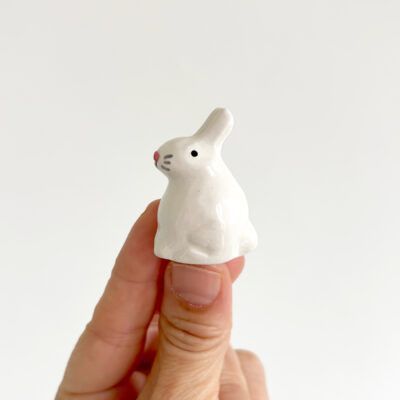 Conejo
