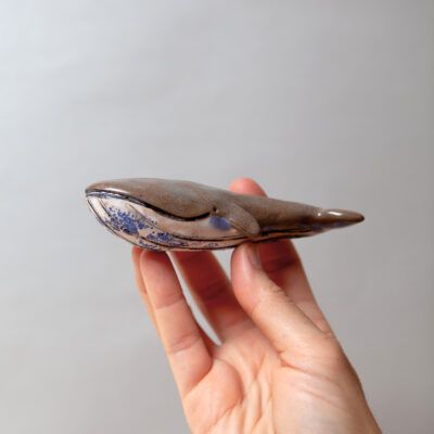 Ballena azul en mano