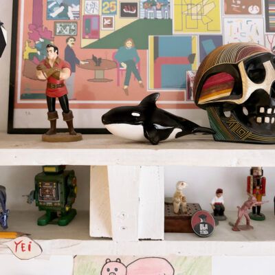 Orca en estantería
