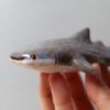 Tiburón ballena en cerámica